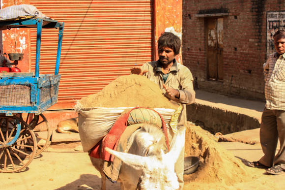 Incluso burros transportando de acá para allá las materias primas.