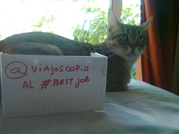 viajoscopio.com - people´s support @viajoscopio al #bestjobs - The Best Job in the World-192