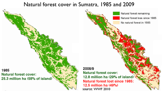Comparativa de la distribución y densidad de bosques en Sumatra (1985 - 2010).